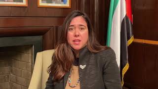 فلسطینی ریاست کا قیام ہی اسرائیل فلسطین تنازع کا خاتمہ کر سکتا ہے، متحدہ عرب امارات