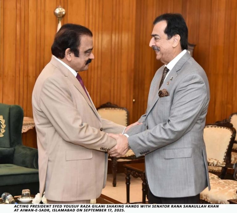 قائم مقام صدر سید یوسف رضا گیلانی کی ملکی و بین الاقوامی رفاہی اداروں سے سیلاب متاثرین کے لئے امداد کی اپیل