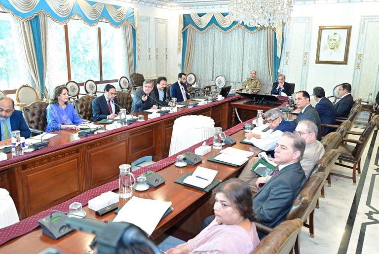 صنعتی اور زرعی پیدار میں اضافے کے لیے بجلی کے موثر استعمال کی جامع حکمت عملی ترتیب دی جائے، وزیراعظم شہباز شریف