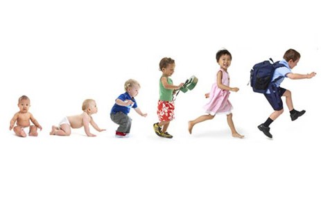 Child Growth And Development