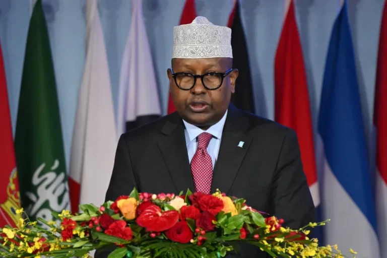 Somalia Accuses Israel of Planning to Relocate Palestinians to Somaliland, Calls It a Threat to Sovereignty
